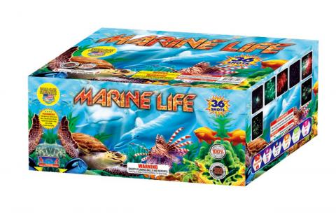 Marine Life